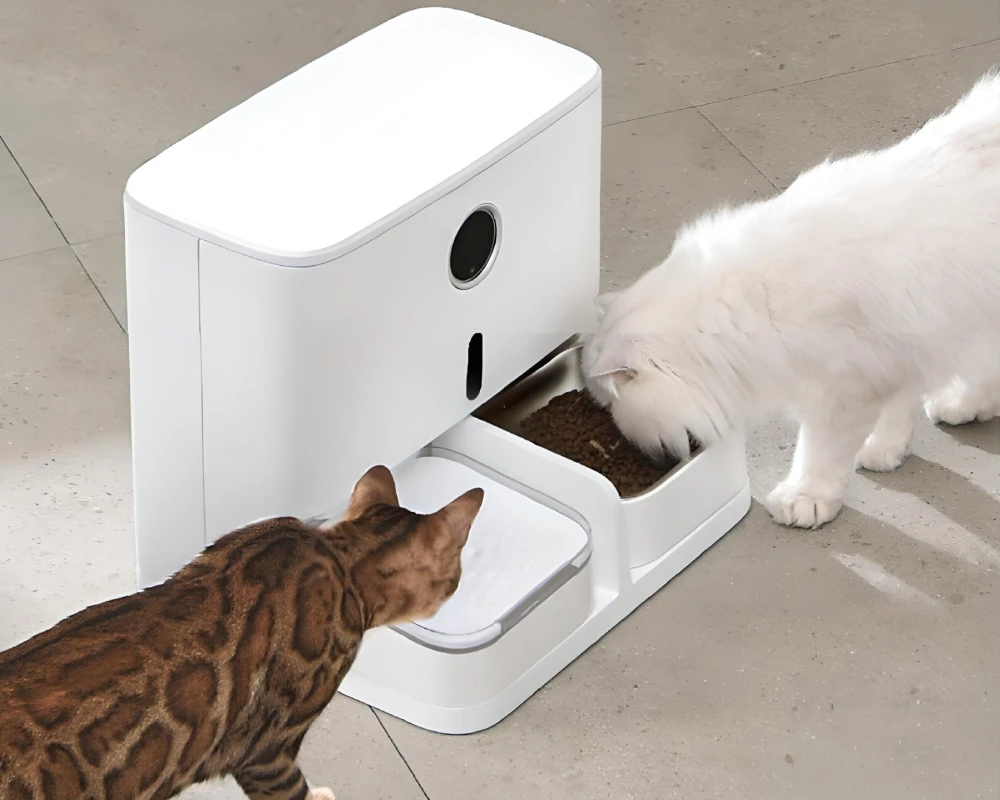 automatic pet feeder and water